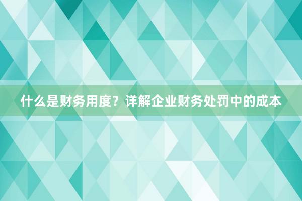 什么是财务用度？详解企业财务处罚中的成本